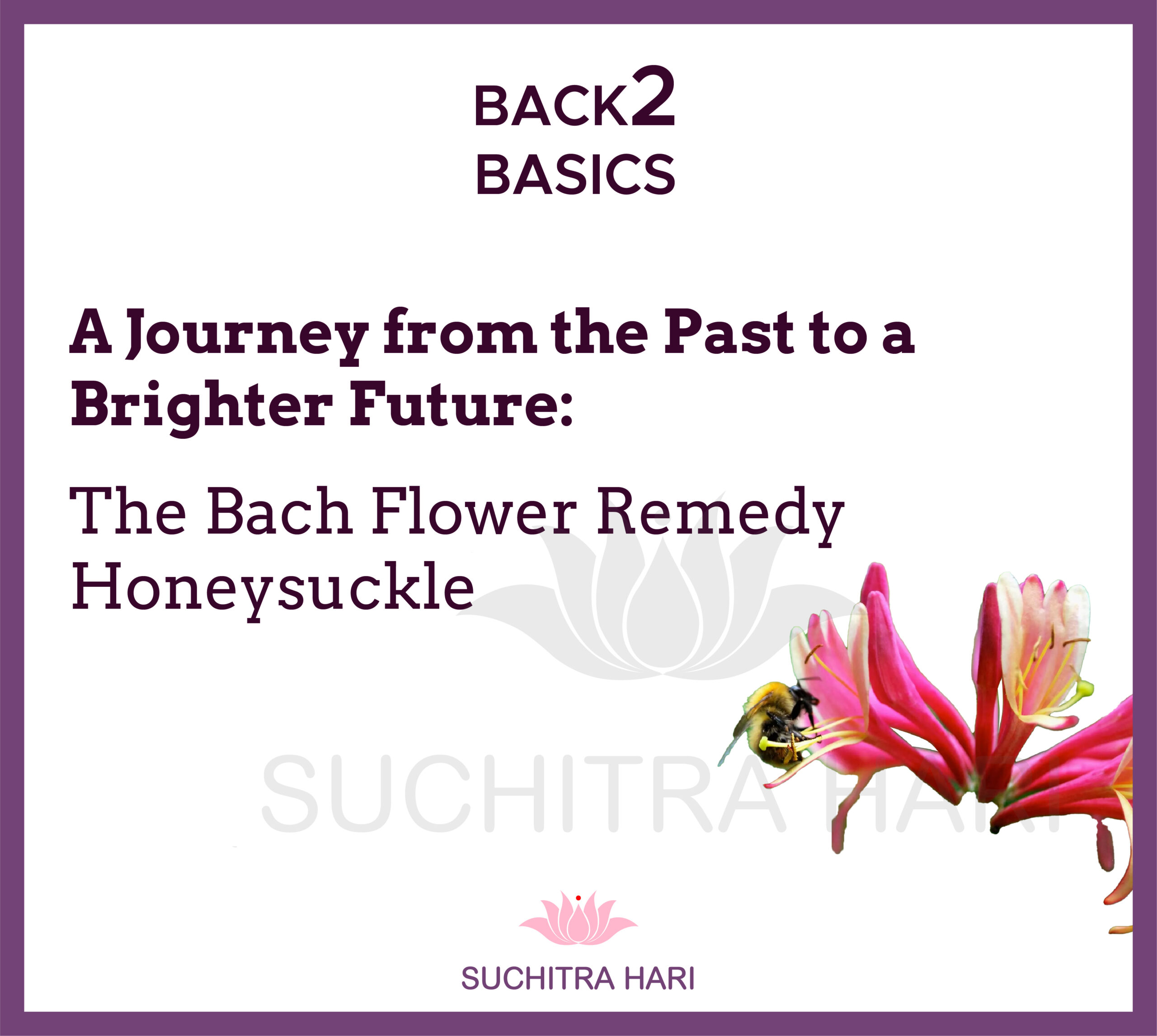 A Journey from the Past to a Brighter Future: The Bach Flower Remedy Honeysuckle
