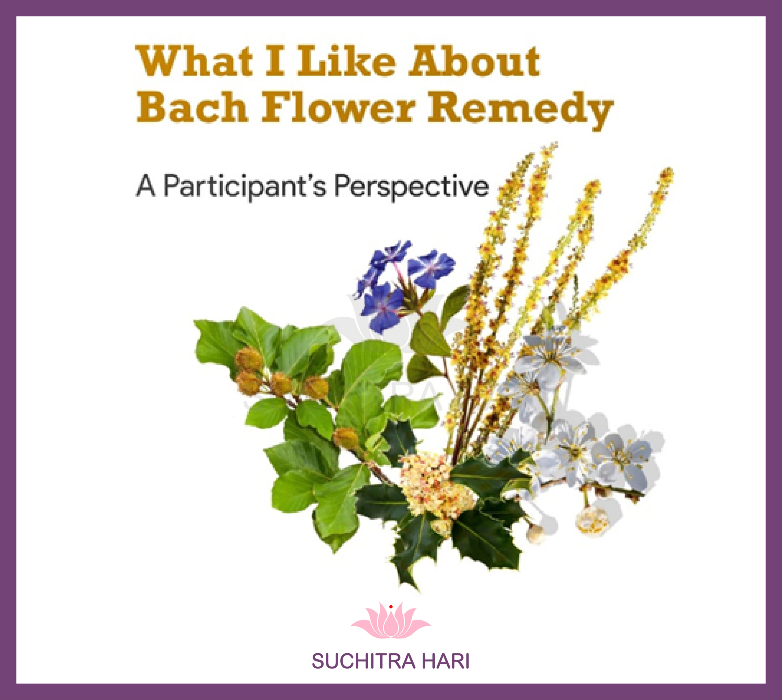 What I like about Bach Flower Remedies?