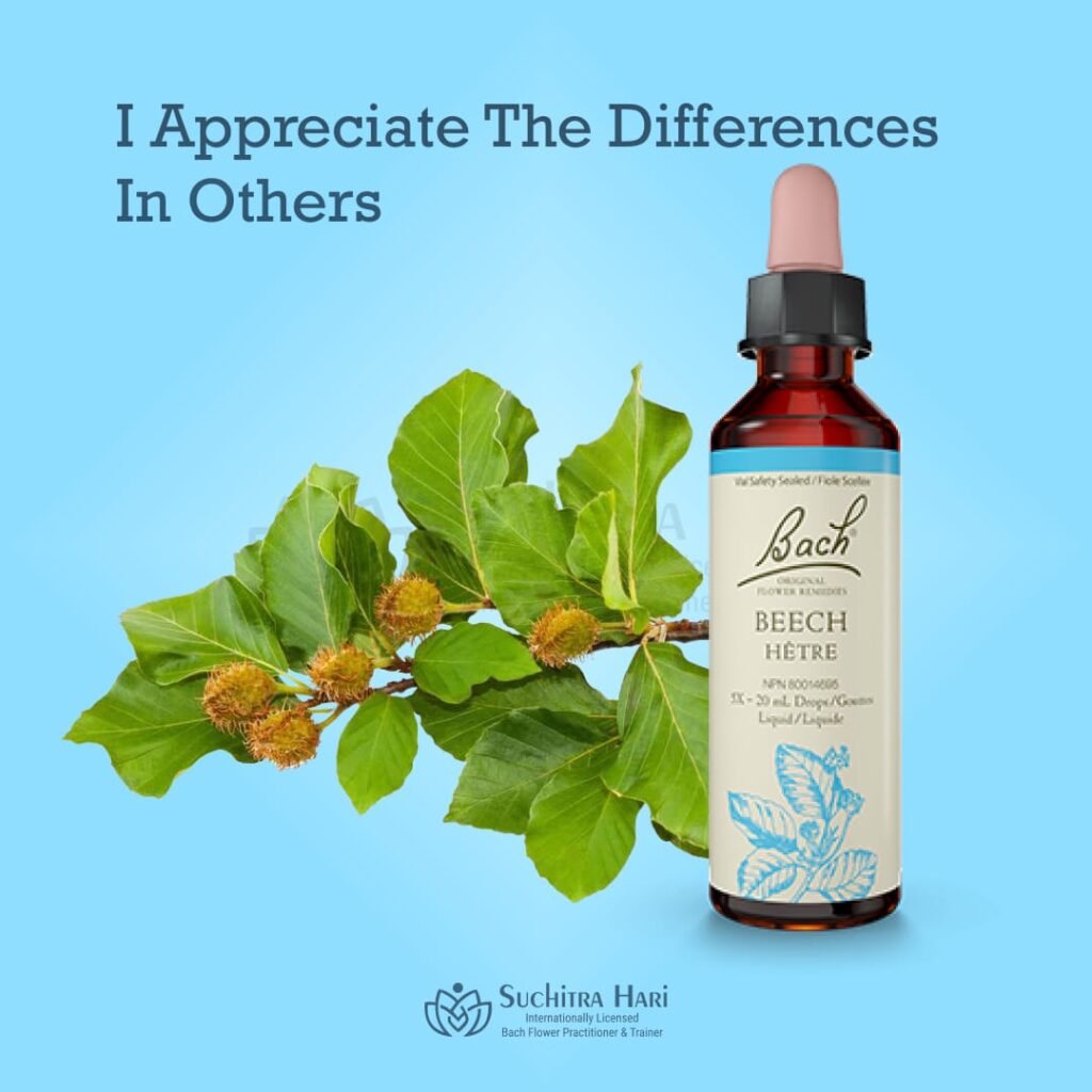 Less Annoyance, More Tolerance — Your Beech Remedy Starter Guide