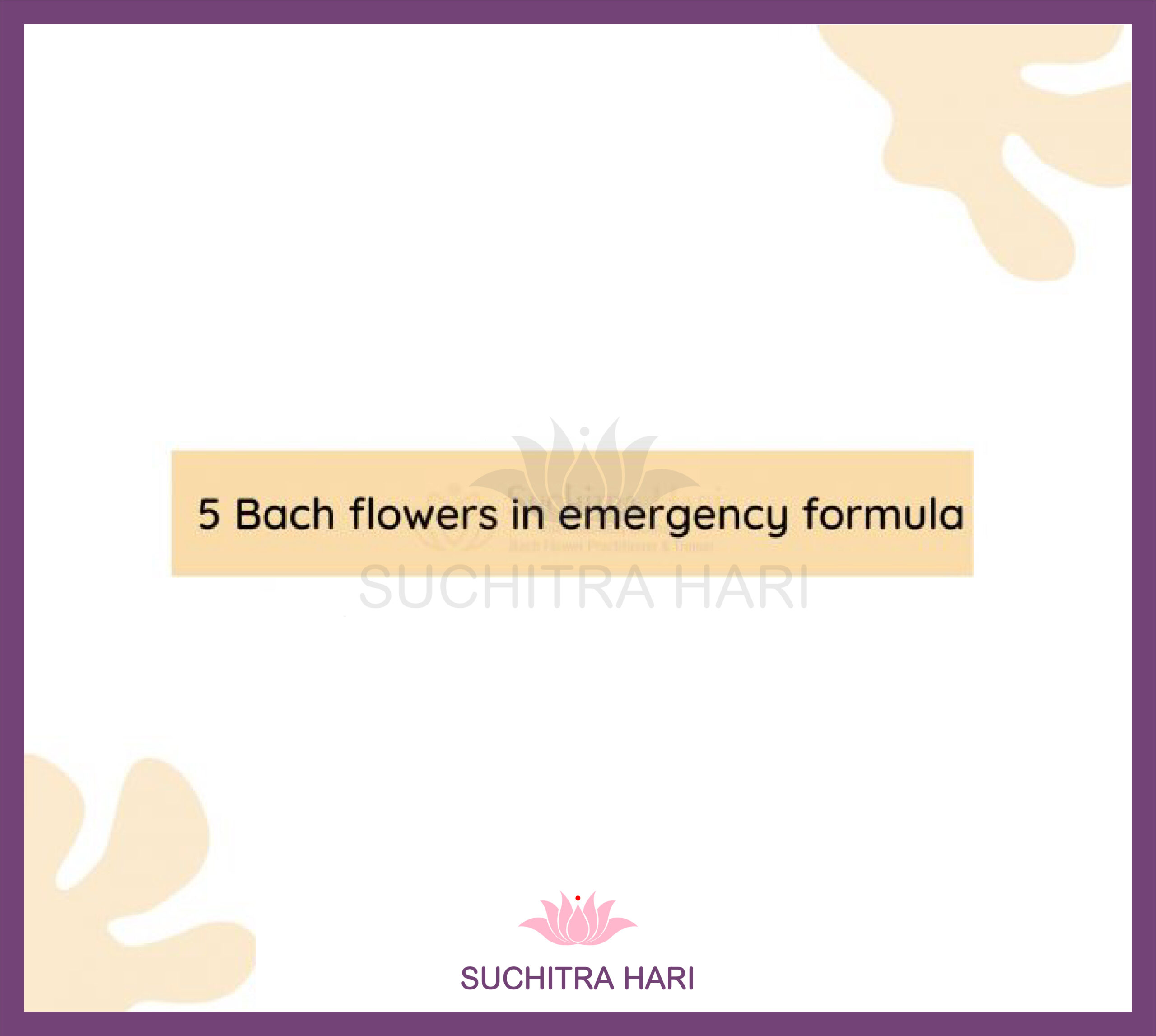 5 Bach flowers in emergency formula